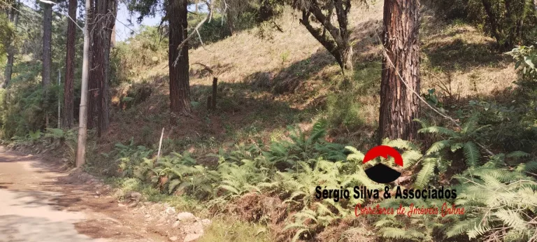 Imagem Terreno a Venda na Região do Alto da Boa Vista em Campos do Jordão -SP.