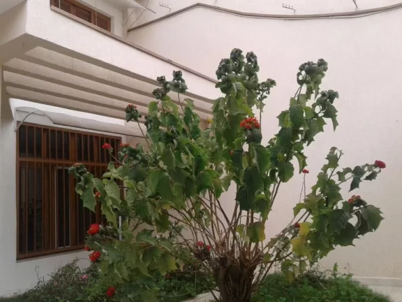Imagem Sobrado com 2 dormitórios à venda, 320 m² por R$ 990.000,00 - Centro - Suzano/SP