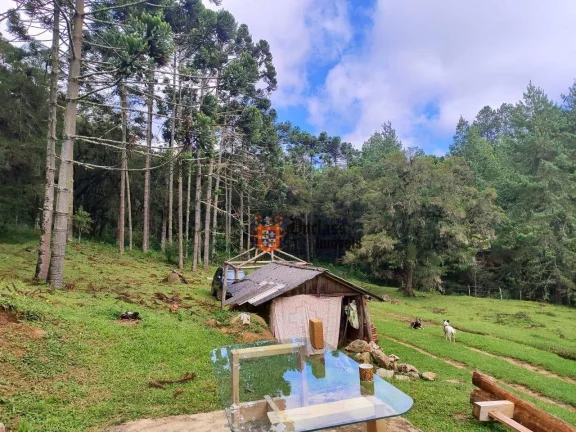 Imagem Sítio à venda, 60500 m² por R$ 905.000 - Bom Jardim - Camanducaia/MG