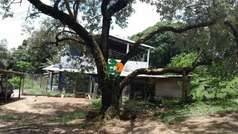 Imagem Sítio para Venda em São Roque, Sorocamirim (canguera), 2 dormitórios, 1 suíte, 3 banheiros, 2 vagas