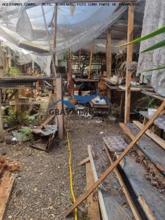 Imagem Terreno Residencial para Venda em Sarandi, Centro, 2 dormitórios, 1 banheiro, 2 vagas