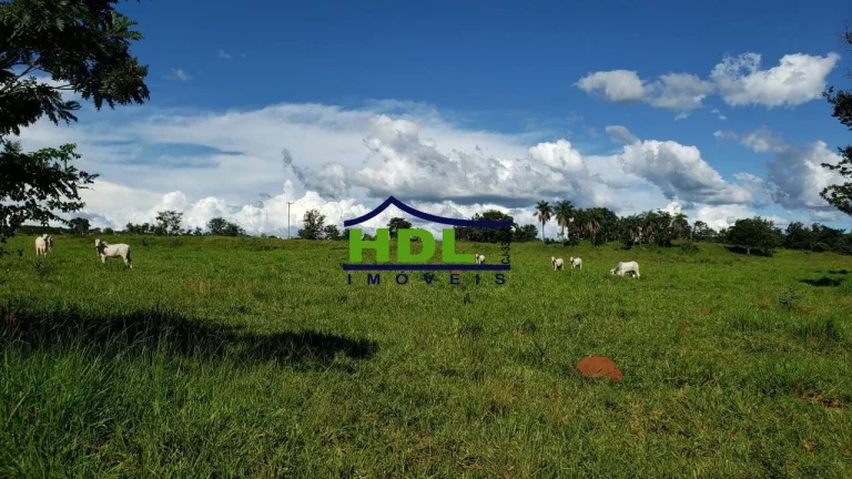 Imagem Fazenda com 351 Alqs dupla Aptidão em Piranhas/GO