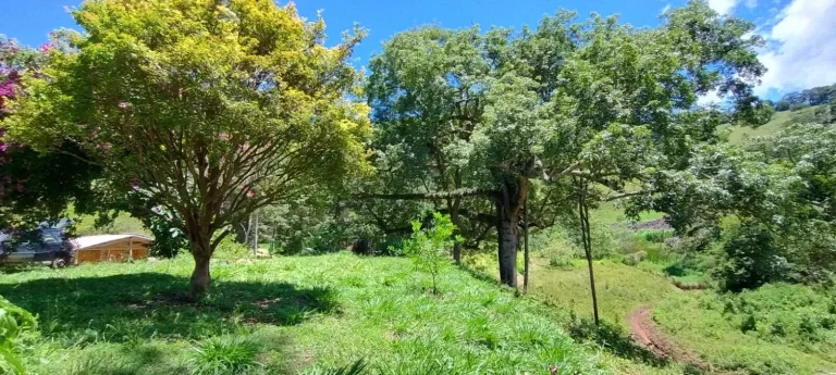 Imagem CHACARA 12.000 MTS - BAIRRO ANHUMAS - ITAJUBÁ - MG