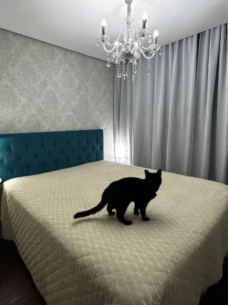 Imagem Apartamento com 3 dormitórios em ótima localização na Mooca