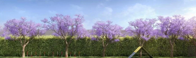 Imagem APARTAMENTO RESIDENCIAL em São Bernardo do Campo - SP, Planalto