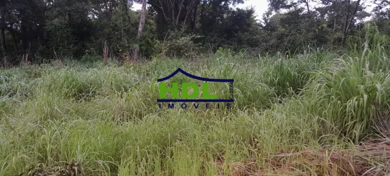 Imagem Fazenda 240 Alqs Dupla Aptidão em Peixe TO