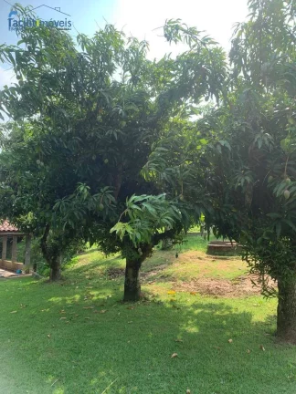 Imagem CHÁCARA À VENDA DE 3.000 M² - LIMEIRA - SP