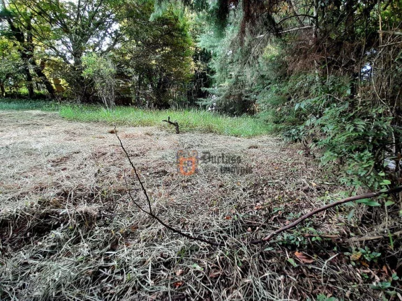 Imagem Terreno à venda, 700 m² por R$ 145.000,00 - Tenentes - Extrema/MG