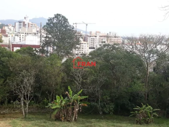 Imagem Lote a Venda no bairro Córrego Grande - Florianópolis, SC