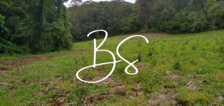Imagem AREA RURAL em NOVA PETRÓPOLIS - RS, Centro