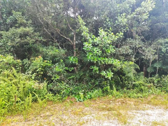Imagem Terreno para Venda em Itanhaém, Gaivota (Interior)