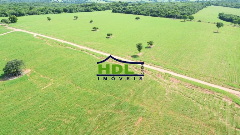 Imagem Fazenda 32 Alqs na Soja em Hidrolândia/GO