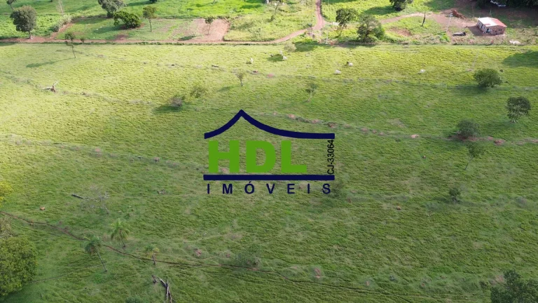 Imagem Fazenda de 1ª com 155 Hectares prox. à Goiânia.