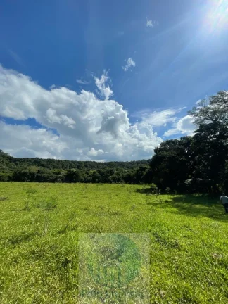 Imagem Sítio 6,5 alqueires por R$ 900.000 em São Sebastião do Paraíso - Minas Gerais.