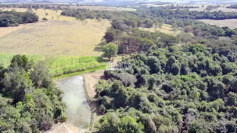 Imagem Oportunidade! Fazenda à venda em Conceição das Alagoas