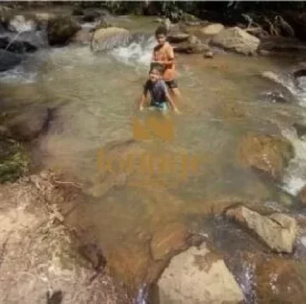 Imagem Chácara em Piedade