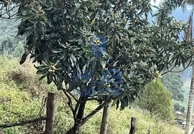 Imagem Sítio à venda, Anitápolis, Anitápolis, SC