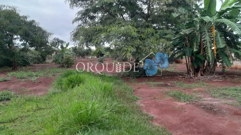 Imagem Chácara à venda: 2 quartos, 1 sala, 1 banheiro e 2.000m² de área em Rio Verde-GO!