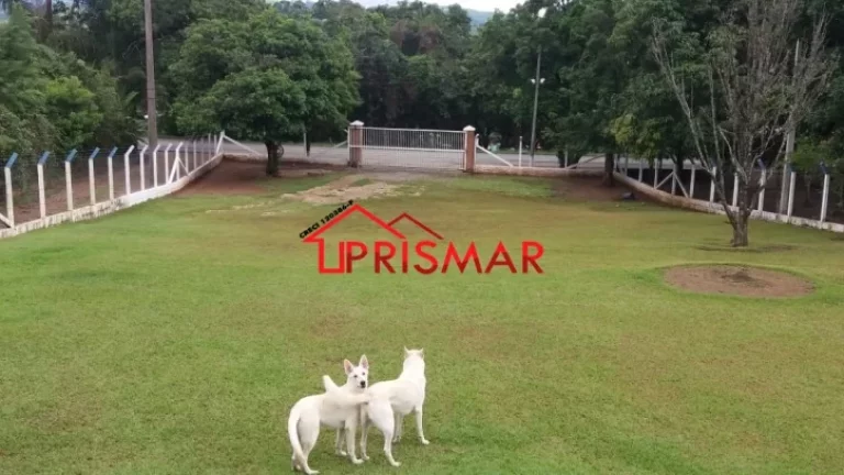 Imagem Vendo ou alugo Temporada Chácara em Socorro/SP 2.600 m2