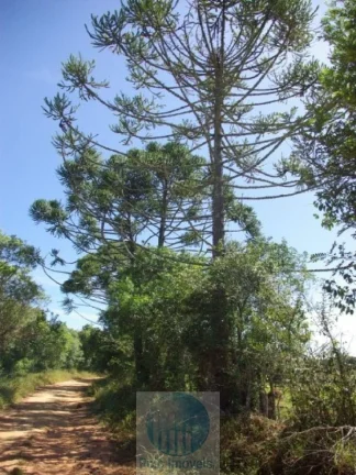 Imagem SÍTIO 11,21 ALQ. PAULISTA, CASA, ENERGIA, RIO - JACUÍ - SUL DE MINAS GERAIS