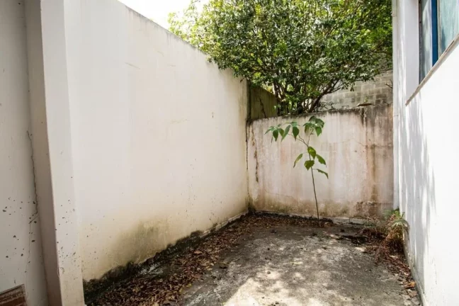 Imagem ADLSJ 274 Casa theremaxcollection-59T0T