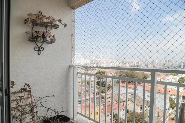 Imagem Apartamento para Venda em Santo André / SP no bairro Vila Floresta