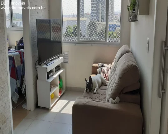 Imagem APARTAMENTO RESIDENCIAL em São Paulo - SP, Vila Leopoldina
