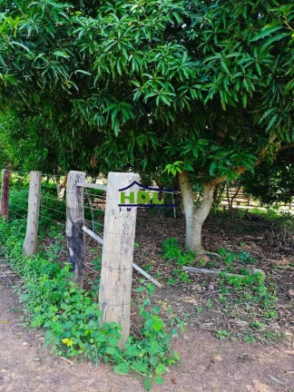 Imagem Fazenda 188 Alqs em Alvorada do Tocantins