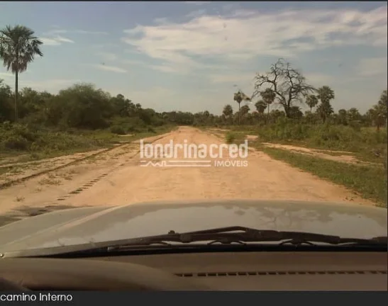Imagem Fazenda à Venda no Paraguai por 900 dólares por hectare com Alto Potencial Pecuário