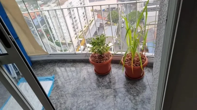 Imagem Oportunidade Única na Vila Vermelha!