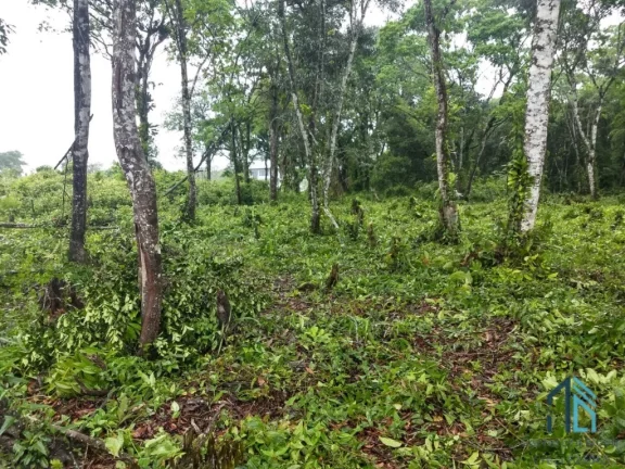 Imagem Terreno a venda 1.950m², ótima localização, ao lado de imóveis, alto padrão em Guaratuba PR