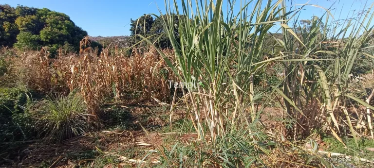 Imagem 2 Lotes juntos total de 859 metros prox a futuro park no setor Maysa