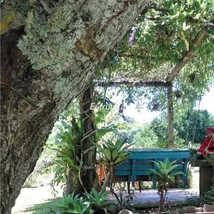 Imagem Chácara Solar das Borboletas em Itaara