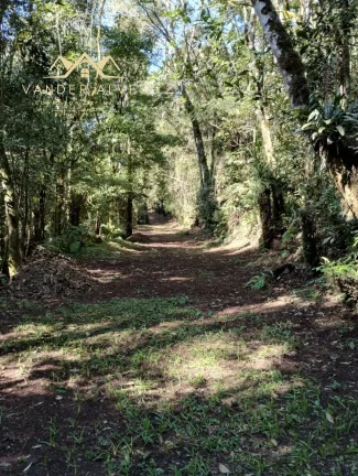 Imagem Chácara Exclusiva com 48mil m² à Venda à poucos minutos de Curitiba em Colombo-PR, Bairro Arruda: