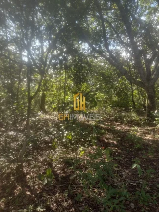 Imagem Chácara em Bela Vista de Goiás 

- Área total: 2 hectares; 
- Bela vista de Goiás 
- Entrada no ...