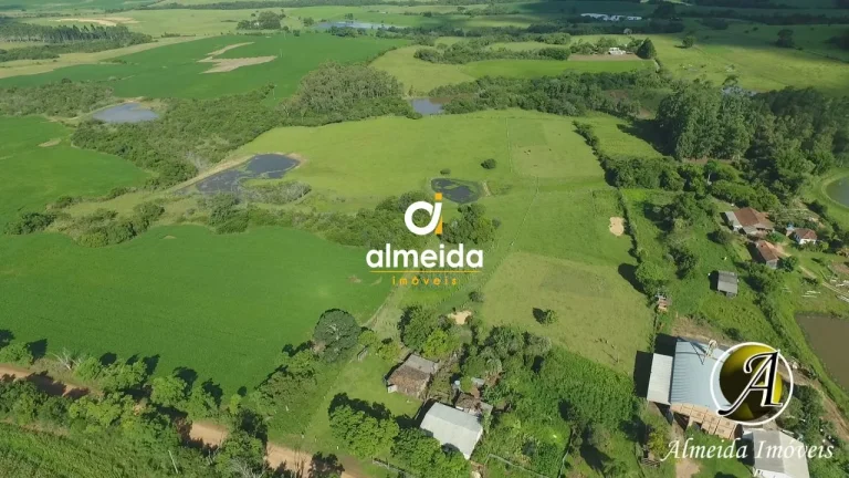 Imagem Chácara com 6,2 ha