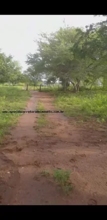 Imagem Fazenda para Venda em Natal, Potengi
