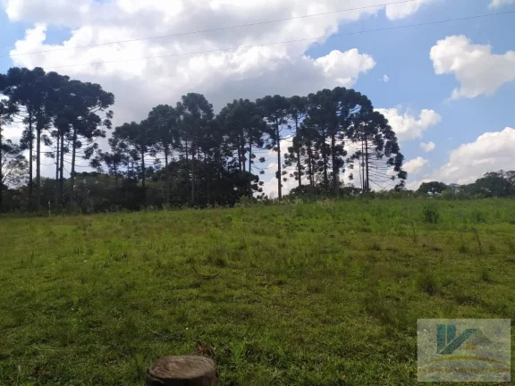 Imagem Terreno para Venda em São José dos Pinhais, Contenda, 1 dormitório