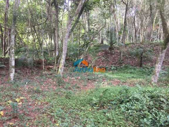 Imagem Terreno à venda, 1571 m² por R$ 450.000,00 - Chácara Represinha - Cotia/SP