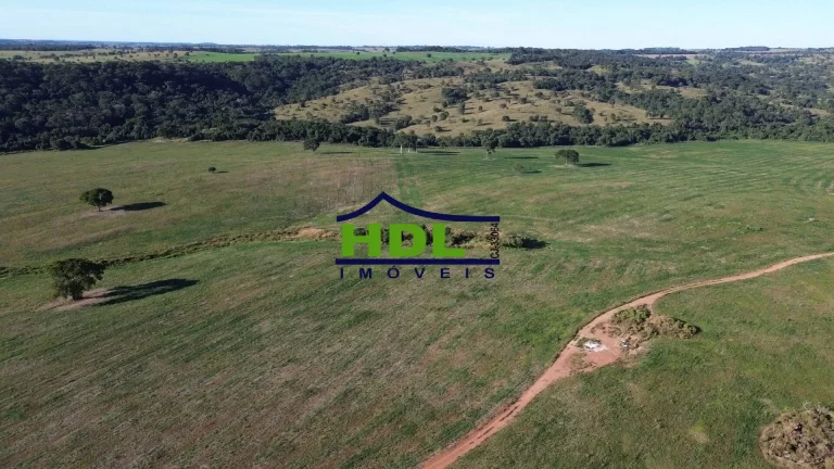 Imagem Fazenda Top 243 Ha alta produtividade em Piracanjuba GO