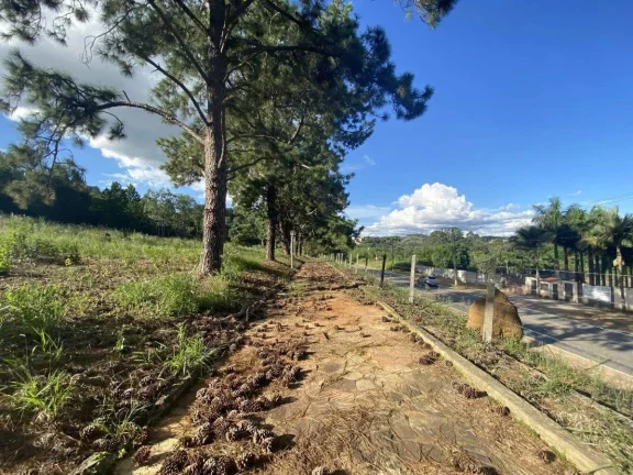 Imagem Terreno à Venda com 97.585,16 m2 na Colônia Rodrigo Silva