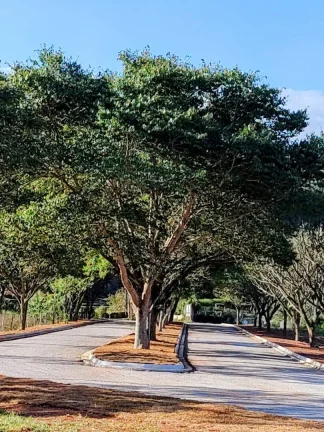 Imagem Terreno à venda no bairro Cachoeirinha - Bom Jesus dos Perdões/SP
