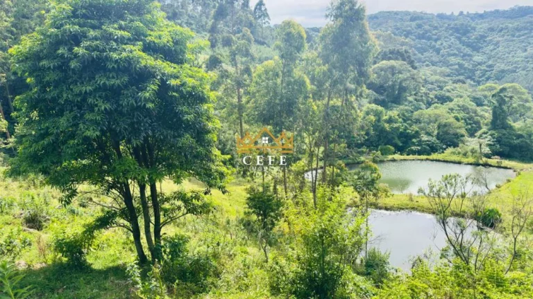 Imagem Chácara - Sítio com 2 Dormitorio(s) localizado(a) no bairro Zona Rural em Santa Maria do Herval / RIO GRANDE DO SUL Ref.:1592