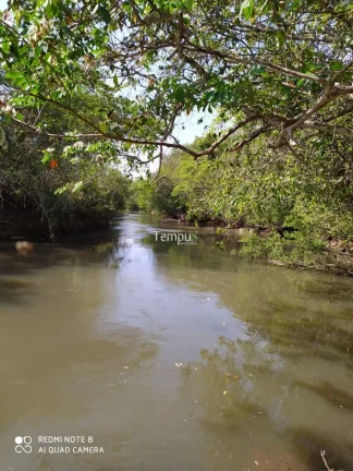 Imagem Fazenda zona Rural São Miguel do Passa Quatro, 175 ha, - GO, 36,1 Alqueires