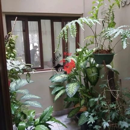 Imagem Belo Sobrado à Venda no Bairro Nova Petrópolis em São Bernado do Campo