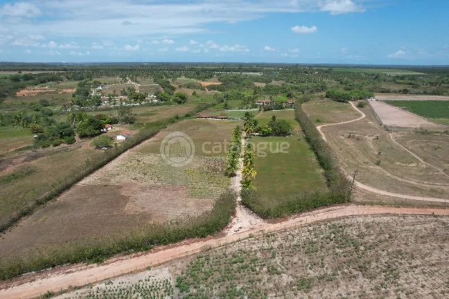 Imagem Chacara a venda completa e produtiva em Sao jose de mipibu