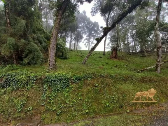 Imagem Terreno à venda em Campos do Jordão de R$690mil por R$550mil.