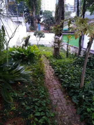 Imagem Alugo 2 Casas no Bairro Jardim-Santo André