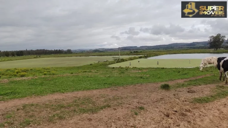 Imagem Fazenda Espetacular no Capão do Leão-RS próximo de Pelotas