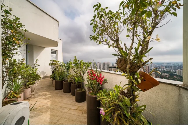 Imagem COBERTURA RESIDENCIAL em São Paulo - SP, Alto da Boa Vista